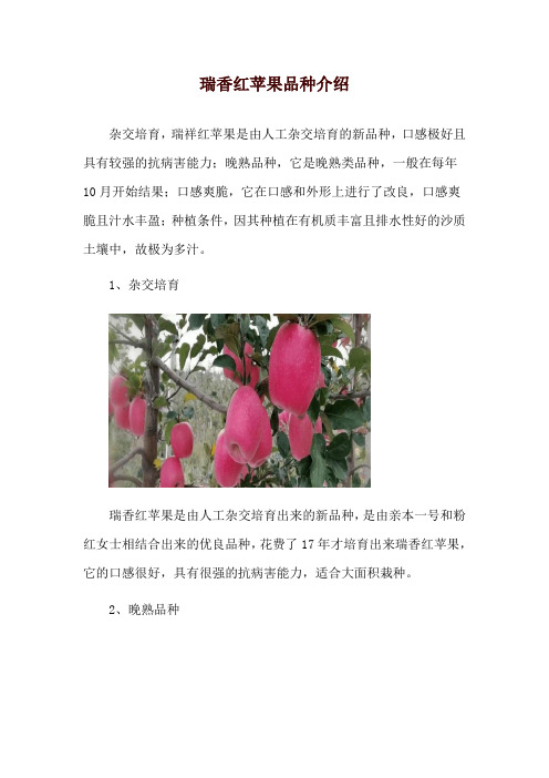 瑞香红苹果品种介绍
