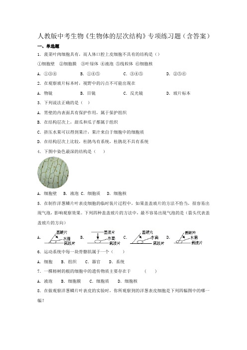 人教版中考生物《生物体的层次结构》专项练习题(含答案)