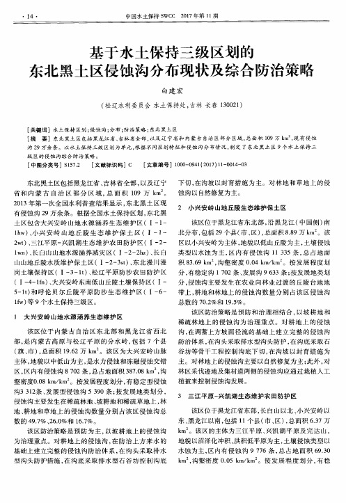 基于水土保持三级区划的东北黑土区侵蚀沟分布现状及综合防治策略