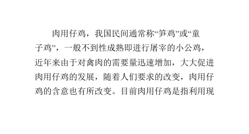 什么叫肉用仔鸡？它有什么特点？