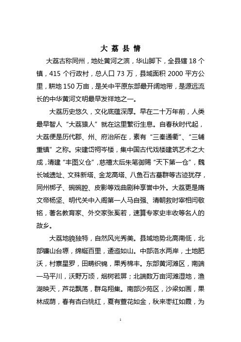 大荔县情文档
