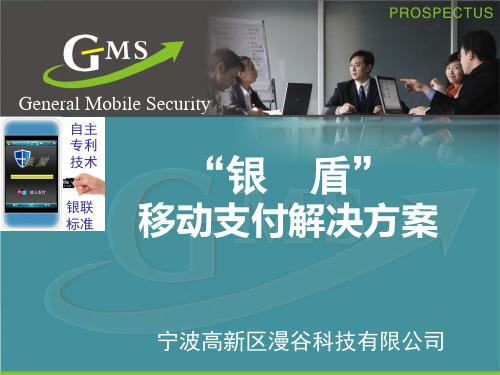 实施方案移动支付解决方案