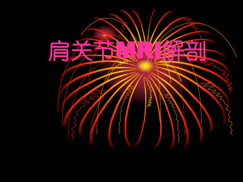 肩关节MRI解剖