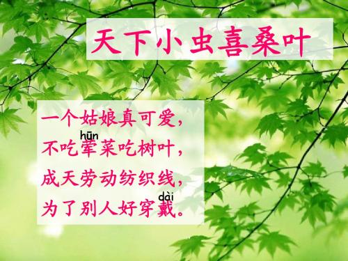 苏教版二年级下册语文 2蚕姑娘 课件