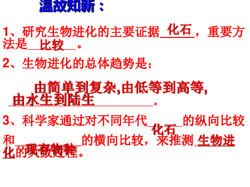 新人教版八年级生物下册 第三节 《生物进化的原因》课件(共28张PPT)