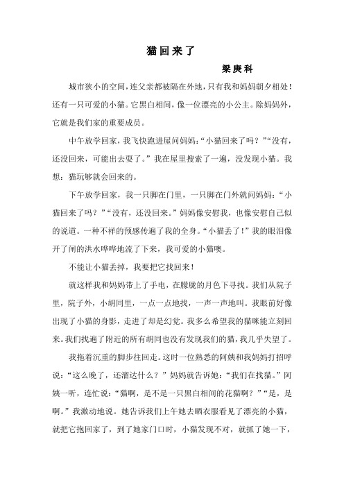 猫回来了