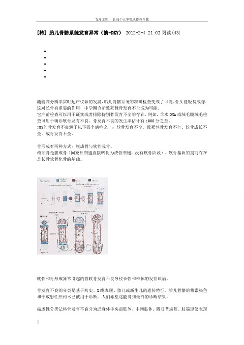 孕妇系统B超之胎儿骨骼系统发育异常课件