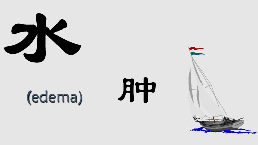 诊断学水肿PPT课件