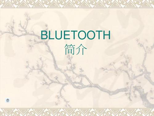 Bluetooth简介