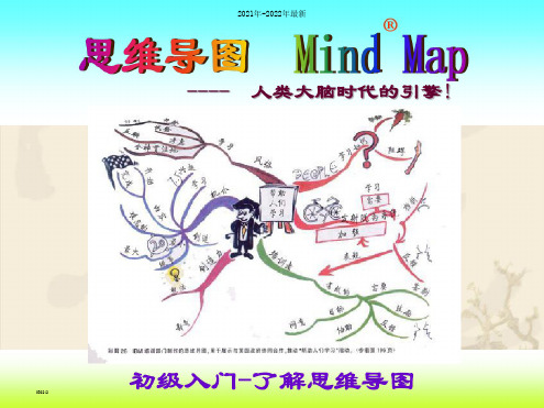 小学生思维导图训练课件ppt课件【完整版】