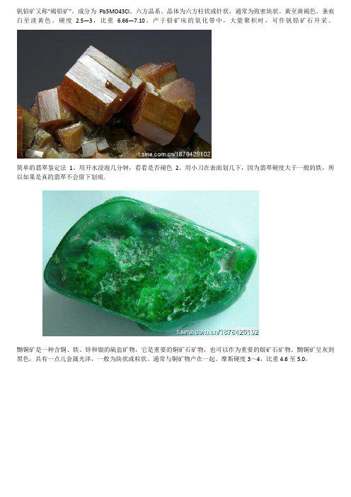 矿物、珠宝、化石及地质知识