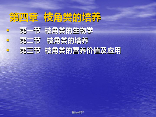 枝角类的培养