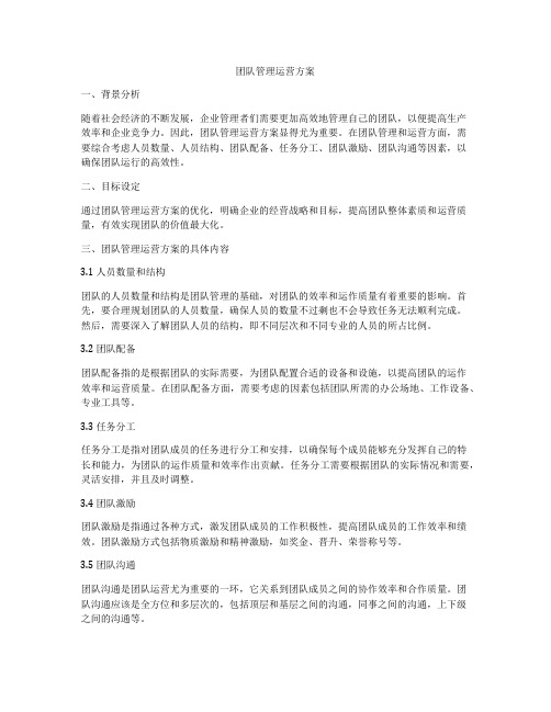 团队管理运营方案