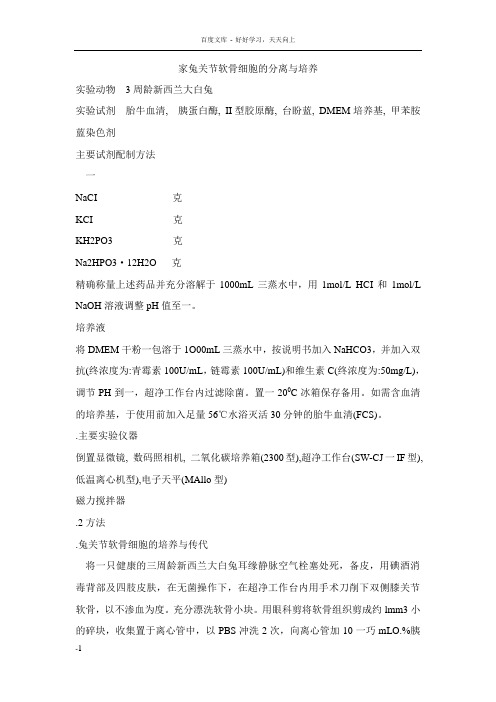 家兔关节软骨细胞的分离与培养