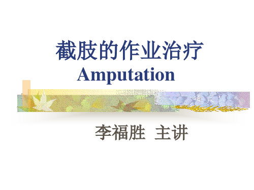 截肢的作业治疗