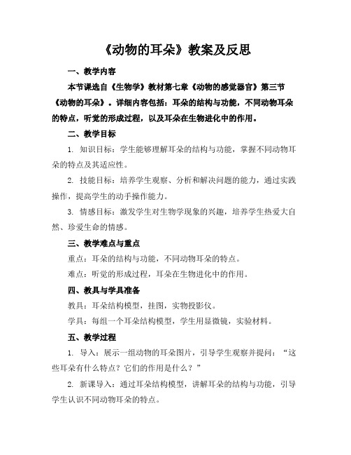 《动物的耳朵》教案及反思