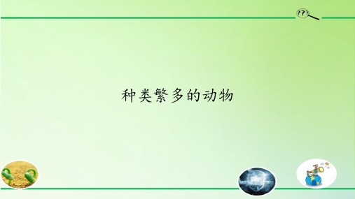 冀教版三年级下册科学种类繁多的动物