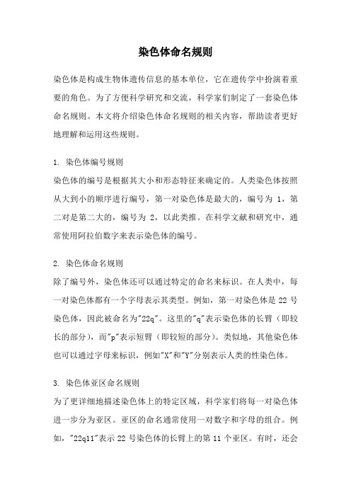染色体命名规则