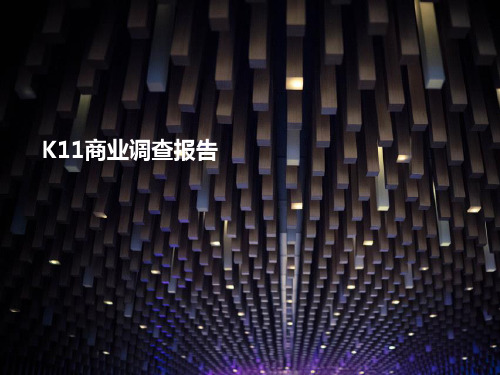 上海K商业报告