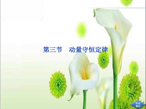 第8章第三节动量守恒定律