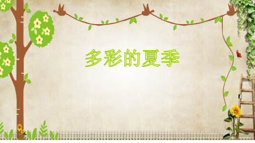 辽师大版道德与法治二年级下册第五单元多彩的夏季PPT课件