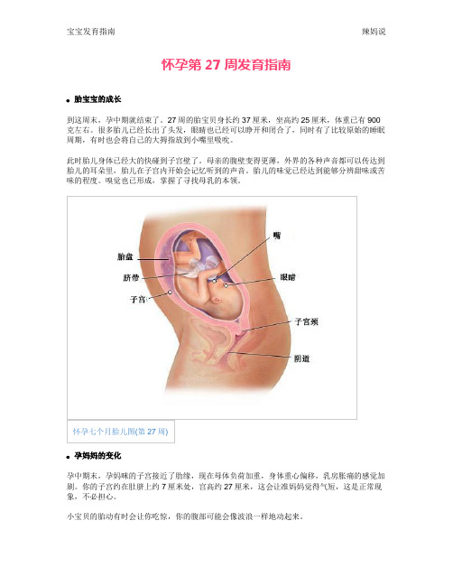 怀孕第27周发育指南