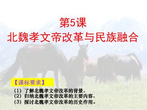 岳麓版高中历史课件：选修一 第2单元第5课 北魏孝文帝改革与民族融合 (共24张PPT)