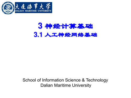 神经计算基础(人工神经网络基础) PPT