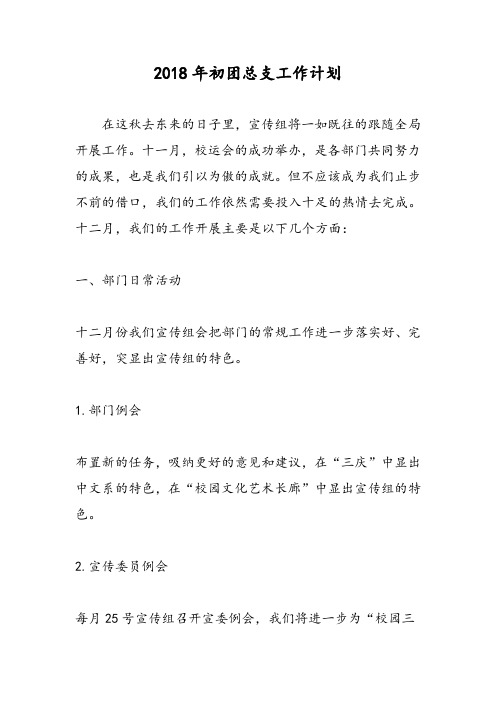2018年初团总支工作计划-范文精选