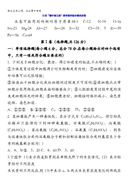 江西省赣中南五校2017届高三下学期第一次联考理科综合试题含答案