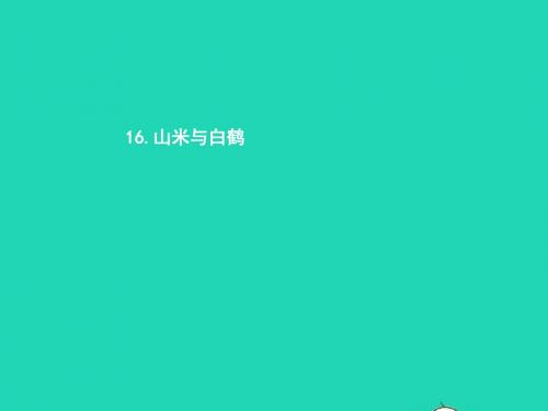 八年级语文上册第四单元16山米与白鹤课件语文版