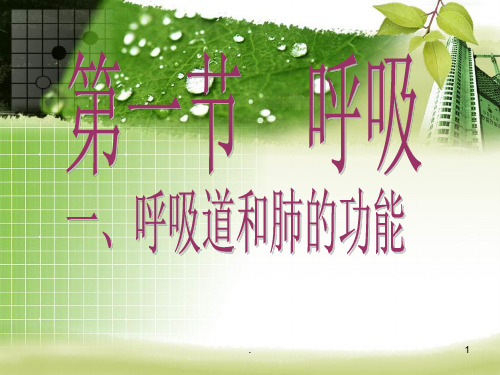 呼吸道与肺的功能PPT课件