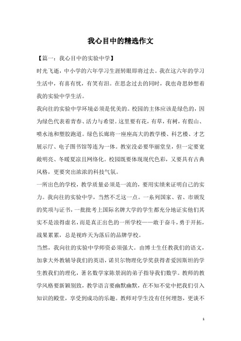 我心目中的精选作文