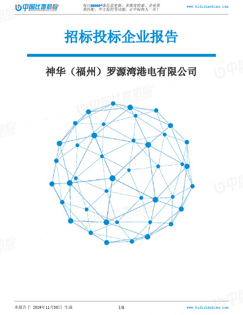 神华(福州)罗源湾港电有限公司-招投标数据分析报告