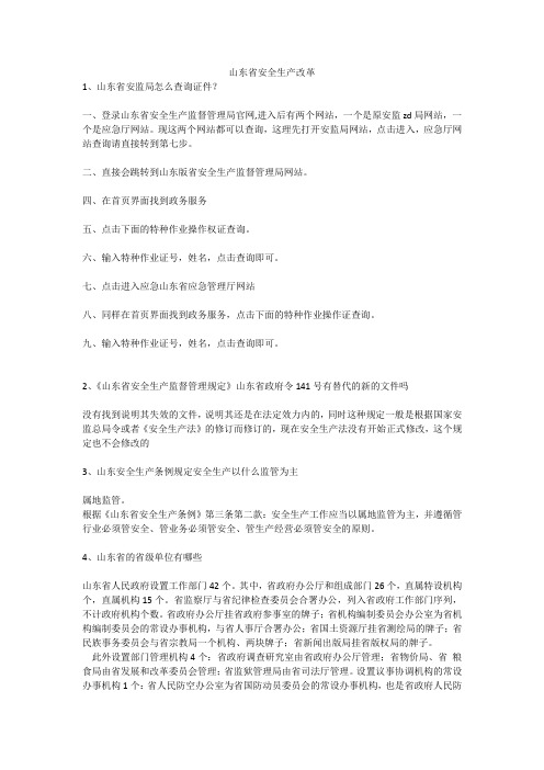 山东省安全生产改革安全生产