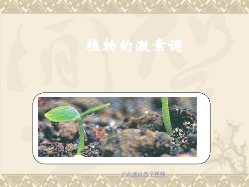 生物必修Ⅲ人教新课标3.3其他植物激素课件(共95张)