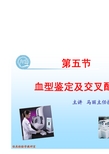 血型交叉配血