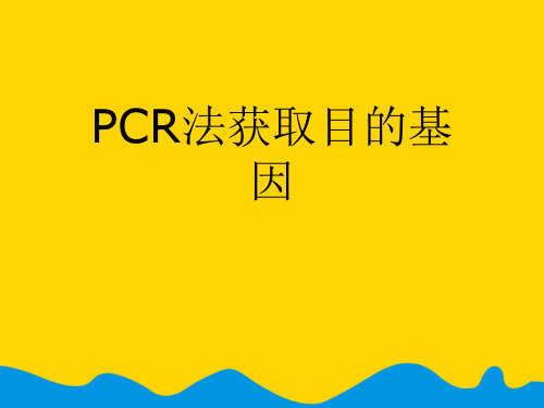 PCR法获取目的基因.完整版PPT