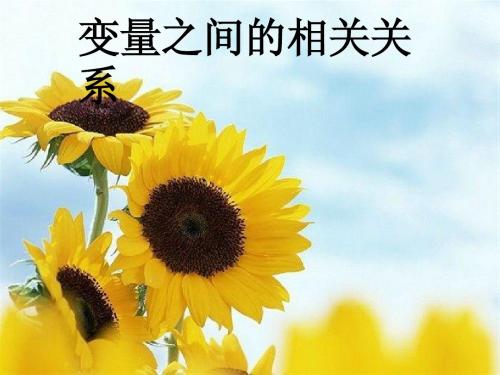 变量间的相关关系