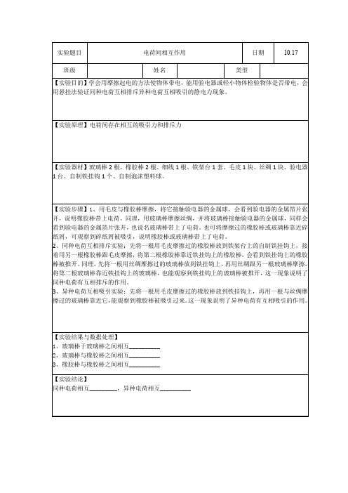 电荷间相互作用