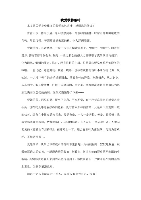 我爱秋林落叶_小学作文
