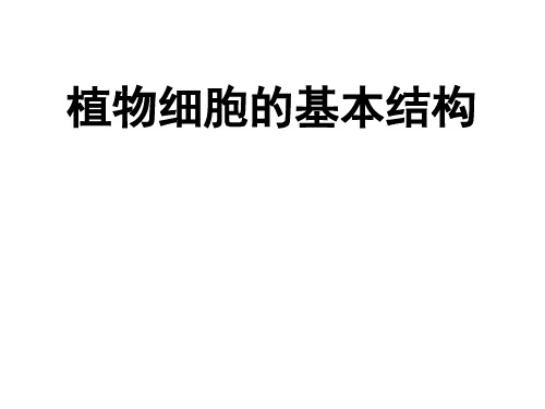 植物细胞的基本结构