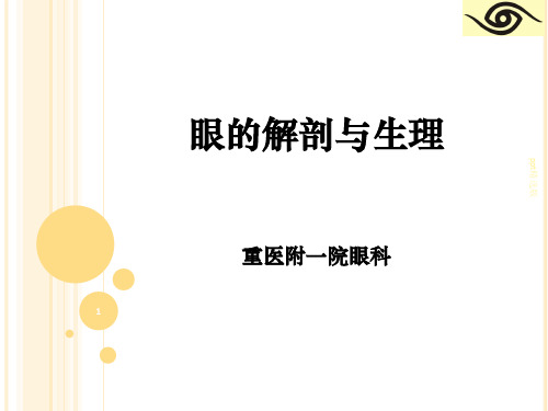 眼的解剖与生理ppt课件
