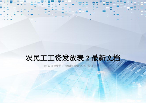 农民工工资发放表2最新文档