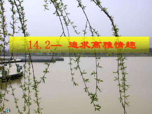 追求高雅情趣ppt优秀课件1 鲁教版