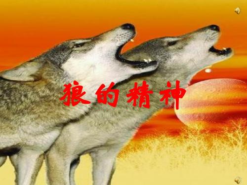 狼的精神