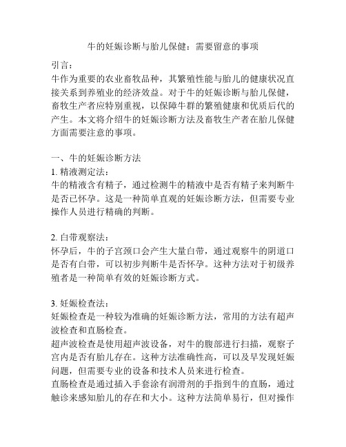 牛的妊娠诊断与胎儿保健：需要留意的事项