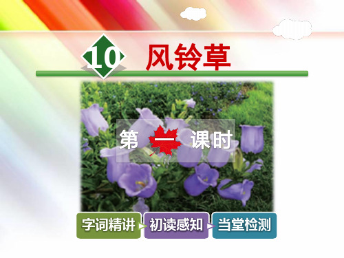 冀教版二年级语文上册《10.风铃草【第1课时】》课件