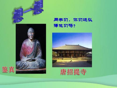 2018年九年级历史上册 第11课 大化改新与中古日本课件 华东师大版