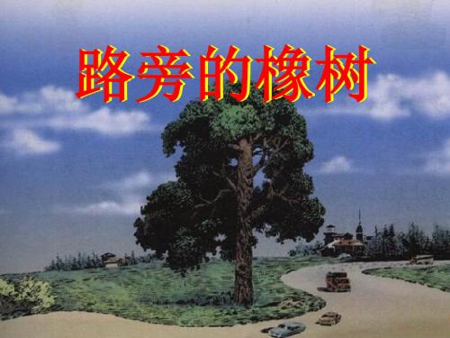 上课8路旁的橡树》PPT